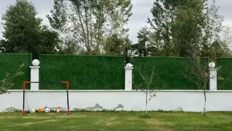 how-to-install-grass-fence-a-step-by-step-guide